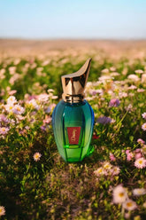 Daisy Unisex Fragrance by Gulwears