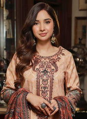 Asim Jofa Winter Karandi 3 PC Shawl Collection AJAW-03
