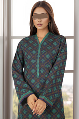 Saya Printed Premium Viscose Khaddar 2PC - U07-24271-05B
